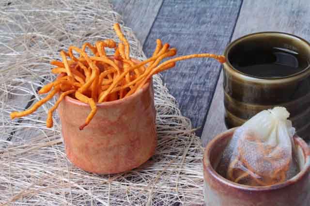 Benefits of Cordyceps